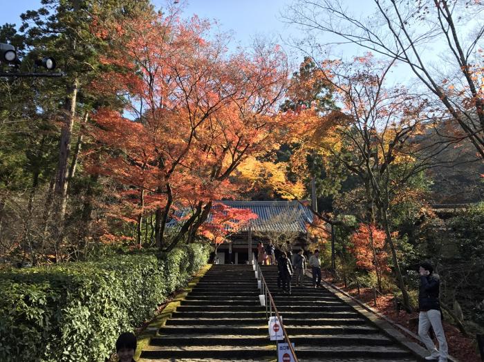 『古都の紅葉』第３２回フォトコンテスト入賞　撮影：㈱日伸商会　永山　雅規氏